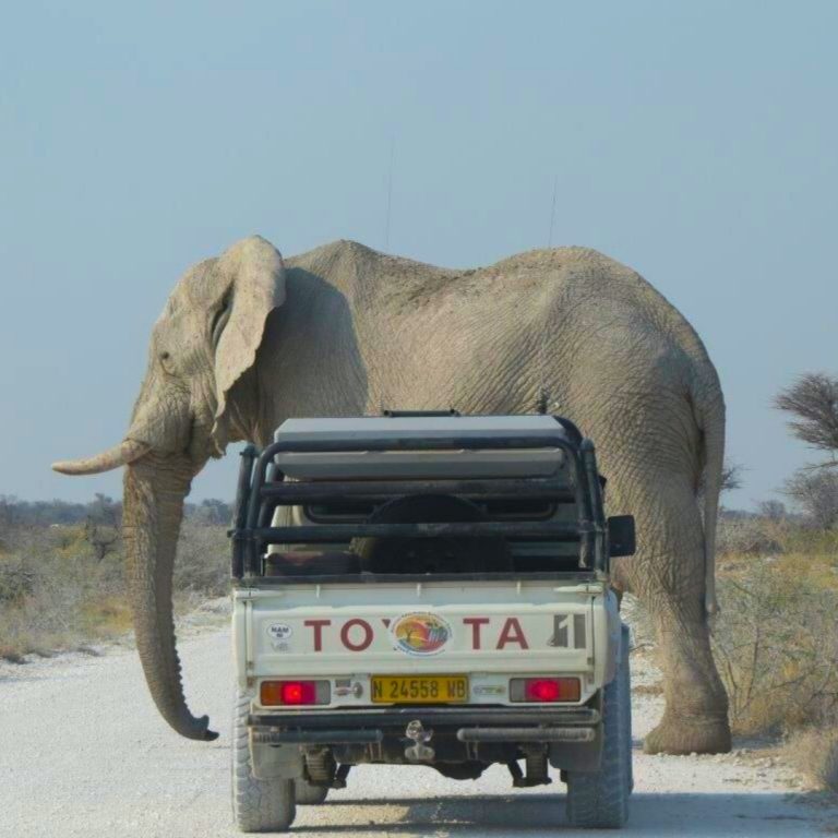 Nambia